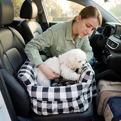 femme installe chien dans son Siege auto pour chien