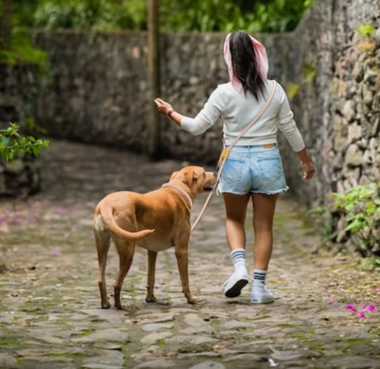 femme marche avec chien les bras lever laisse mainsl libres