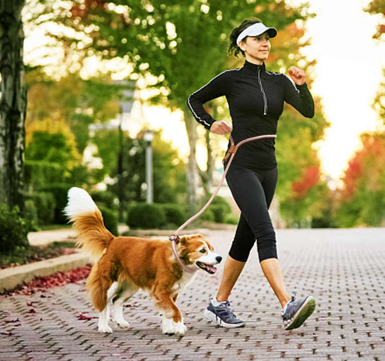 femme marche sportive laisse mains libres pour chien