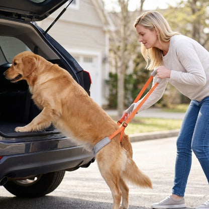 Femme monte chien voiture harnais de soutien pour chien