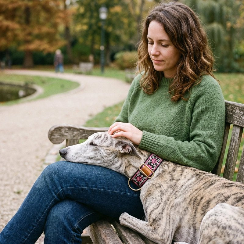 Femme réconfortant chine qui porte Collier pour Chien