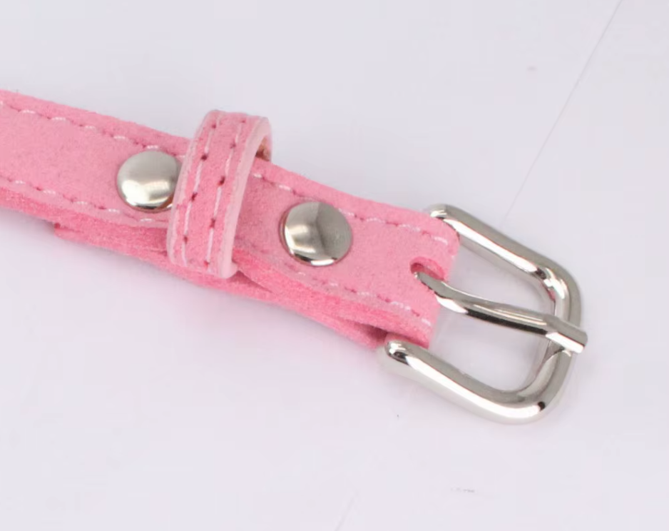 finition harnais pour petit chien