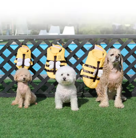 flotaingbee chien assis devant gilet de sauvetage chien