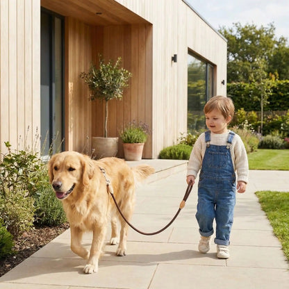 freewalk laisse pour chien marron  enfant sort chien