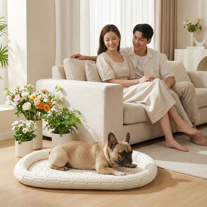 FrostPaw lit rafraichissant pour chien beige dors dans salon