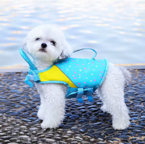 Gilet de flottaison pour chien sur galet plage