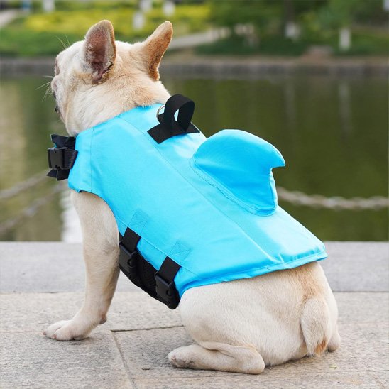 Gilet de sauvetage chien adapté races brachycéphales