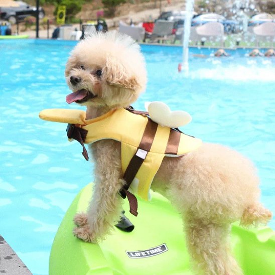 Gilet de sauvetage chien ajustable et légers 