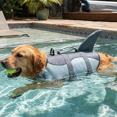 Gilet de sauvetage Chien bi couleur grise