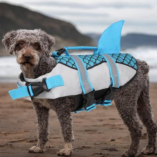 Gilet de sauvetage chien bleu sur chien sur le sable