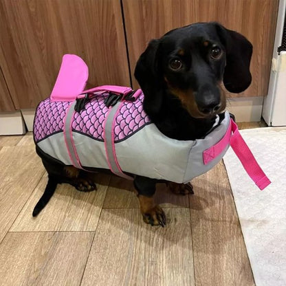 Gilet de sauvetage chien chien prêt à partir mer