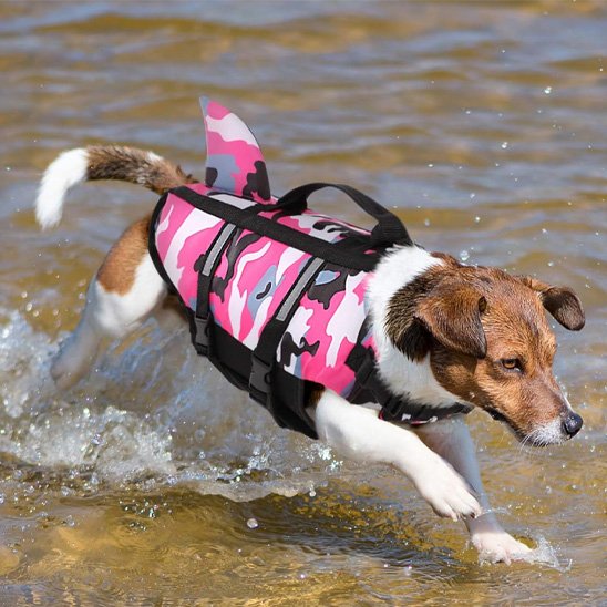 Gilet de sauvetage chien de flottaison léger