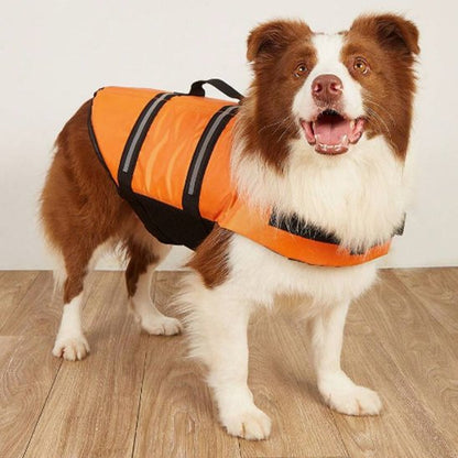 Gilet de sauvetage Chien équipé pour aller se baigner