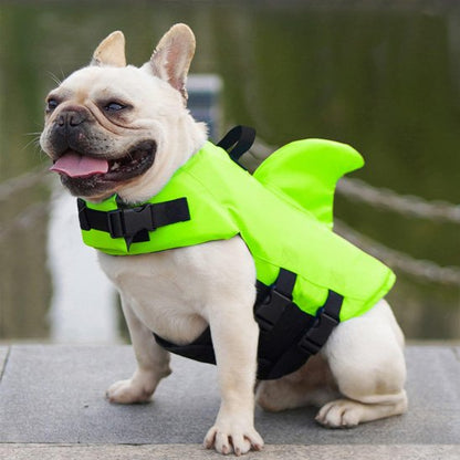 Gilet de sauvetage chien évite la fatigue musculaire