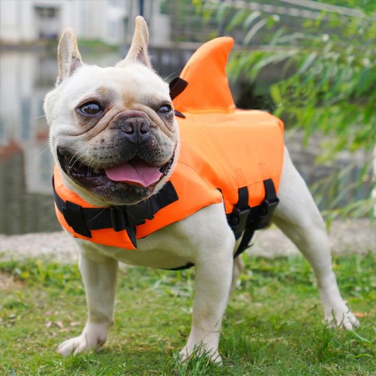 Gilet de sauvetage chien flottabilité naturel 