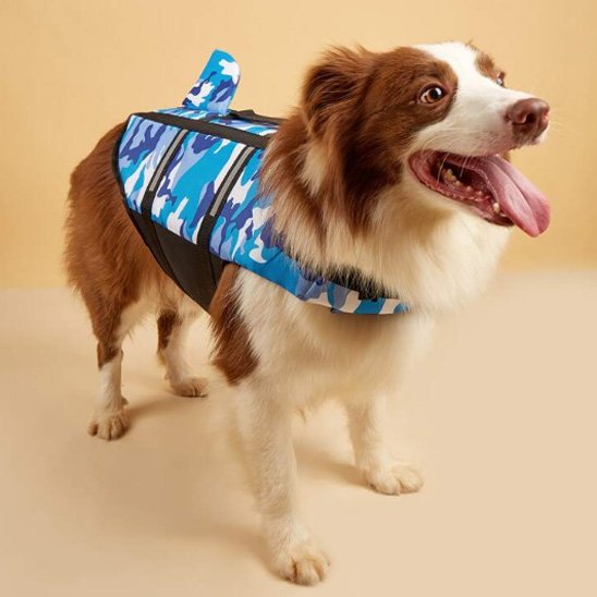 Gilet de sauvetage chien flottant réfléchissant