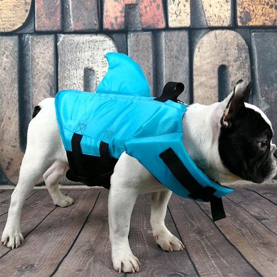 Gilet de sauvetage chien haute visibilité 