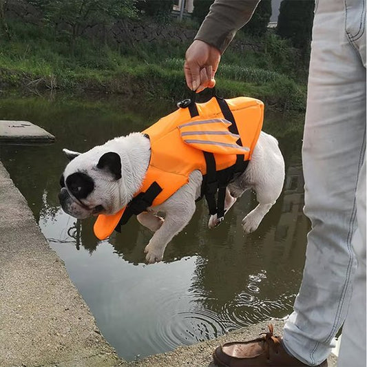Gilet de sauvetage chien orange prêt pour baignade 