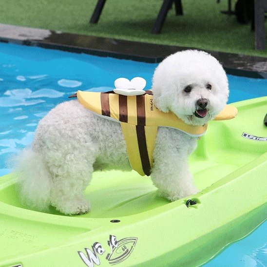 Gilet de sauvetage chien sur place surf