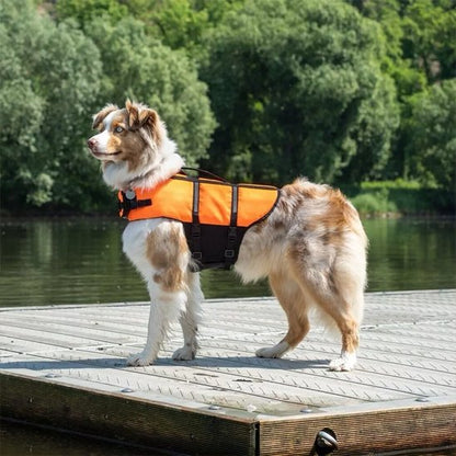 Gilet de sauvetage Chien sur ponton de rivière