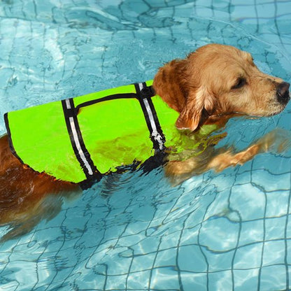 Gilet de sauvetage Chien vert fluo