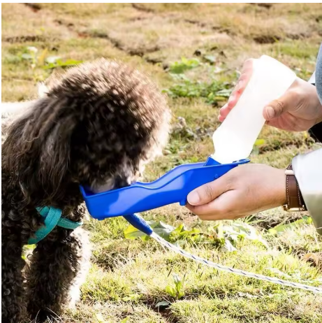 Gourde pour Chien bleu