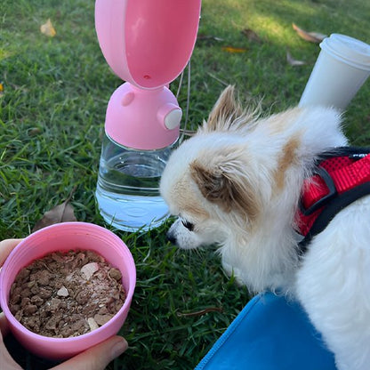 Gourde pour chien compact design