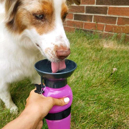 Gourde pour chien compacte ergonomique