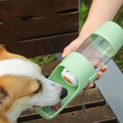 Gourde pour Chien en verre