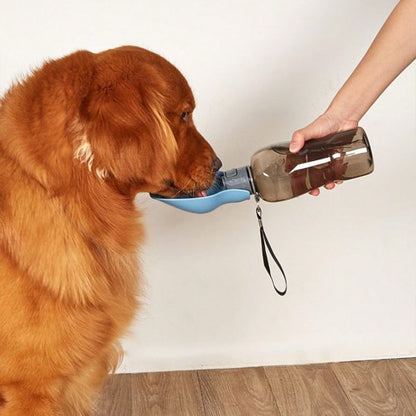 Gourde pour chien​ ergonomique et design 