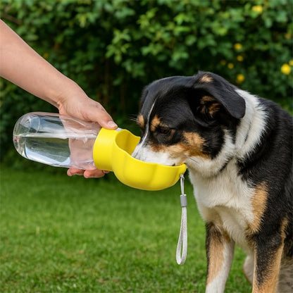 Gourde pour Chien ergonomique jaunes