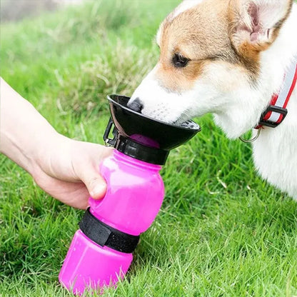 Gourde pour chien hydratation