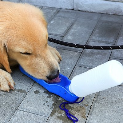 Gourde pour Chien pour réhydraté rapidement 