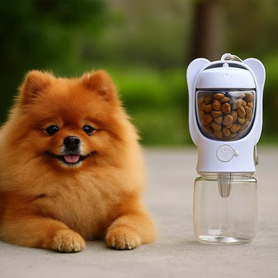 Gourde pour chien​ pratique ingéniosité