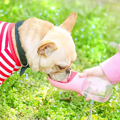 Gourde pour chien / Gourde eau et gourmandise