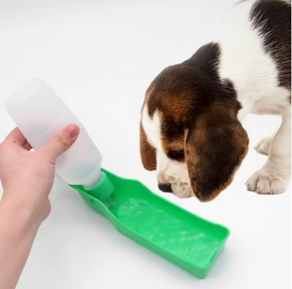 Gourde pour Chien vert ergonomique