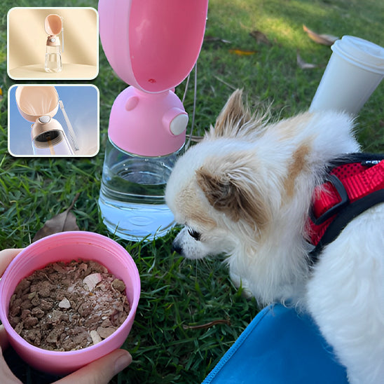 Gourde pour chien voyage