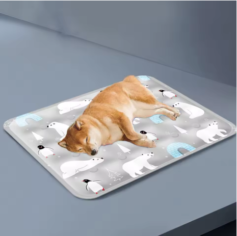 grand chien sur cousin rafraichissant chien cryopattes