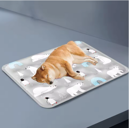 grand chien sur cousin rafraichissant chien cryopattes