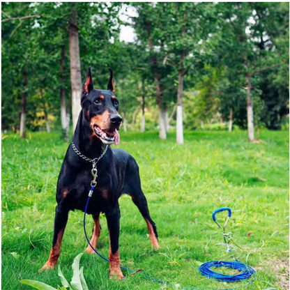 grand doberman collier pour chien attache longe