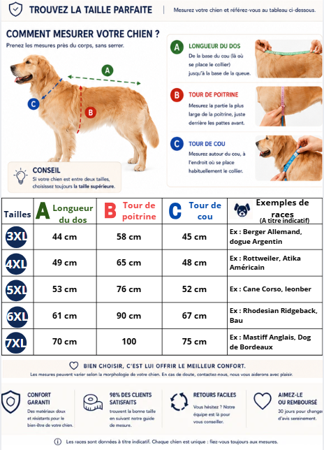 Grande taille imperméable pour chien_2
