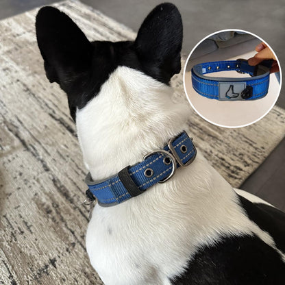 gros plan collier chien bleu marine