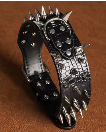 Gros plan collier chien cuir