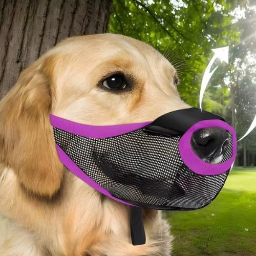 Gros plan muselière chien maille respirante
