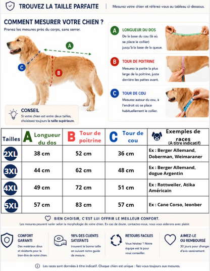 Guide grande taille manteau chien