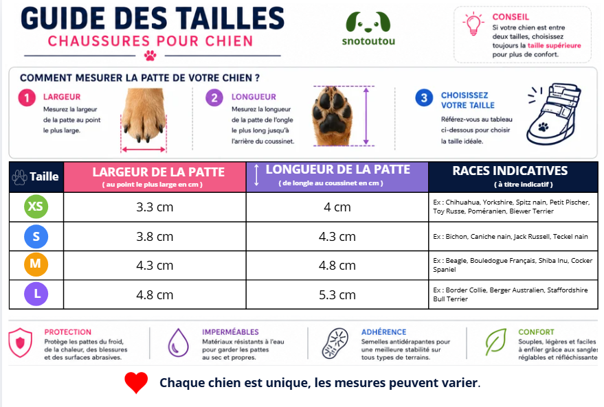 Guide taille chaussure chien pawsrtip