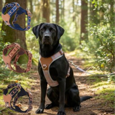 Harnais chien 4 points réglage modèle