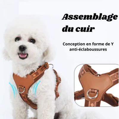 Harnais chien assemblage cuir