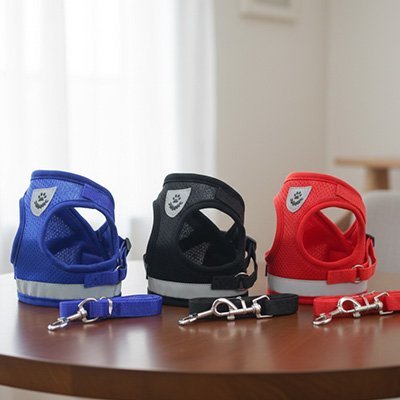 Harnais chien assortie laisse