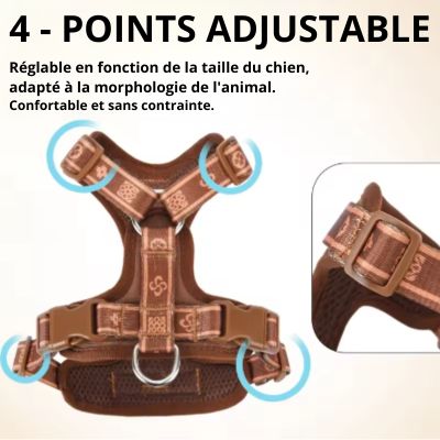 Harnais chien points ajustable